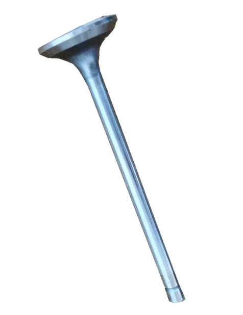Cummins Exhaust Valve
